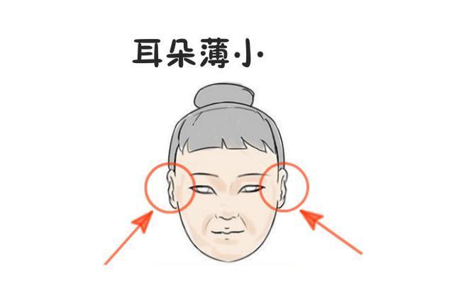 所谓的双耳贴脑指的是两个耳朵紧紧的贴在脑袋上,如果从正面看的话