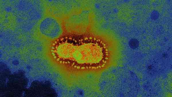儿童对新冠病毒的抵抗免疫力更强吗？