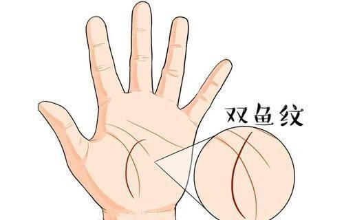 手相在中国相术中有着不可撼动的地位,因为手相比面相,痣相更能精准的