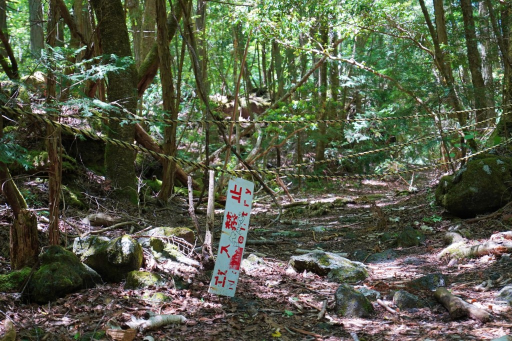 亚蓝大师单枪匹马勇闯日本“自杀森林”，超度万千自杀冤魂！