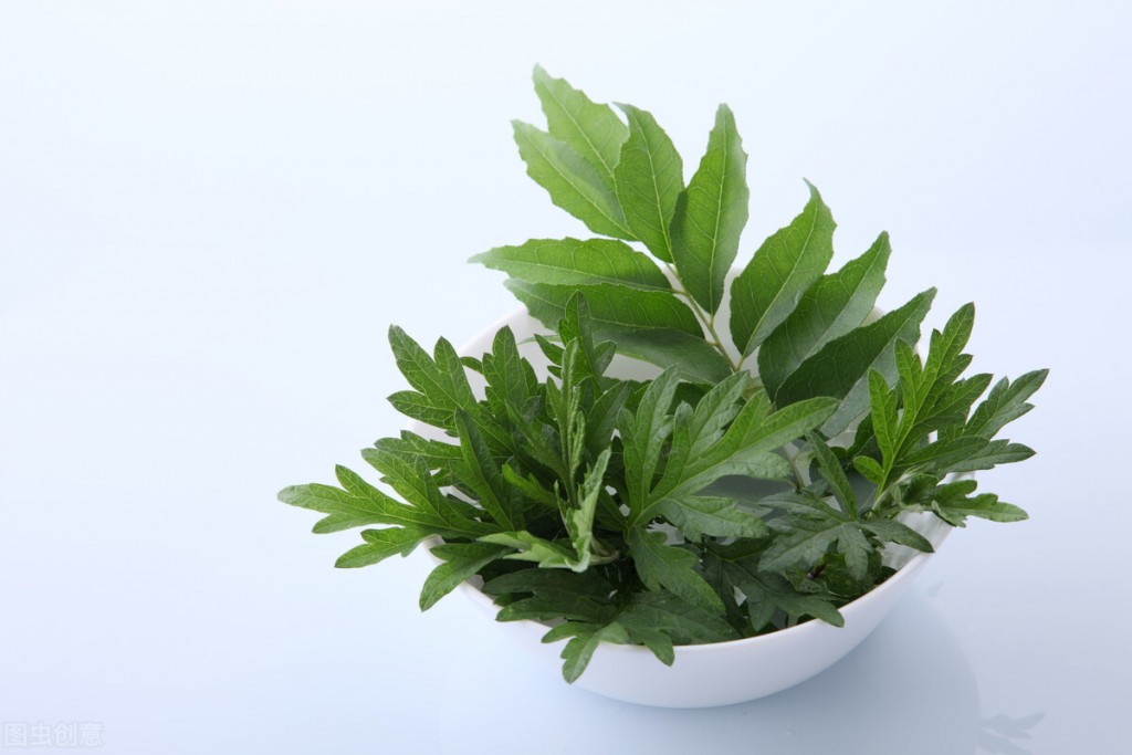 Mugwort Herbal and curry leaves