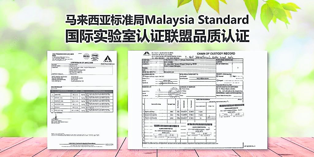 国际实验室认证