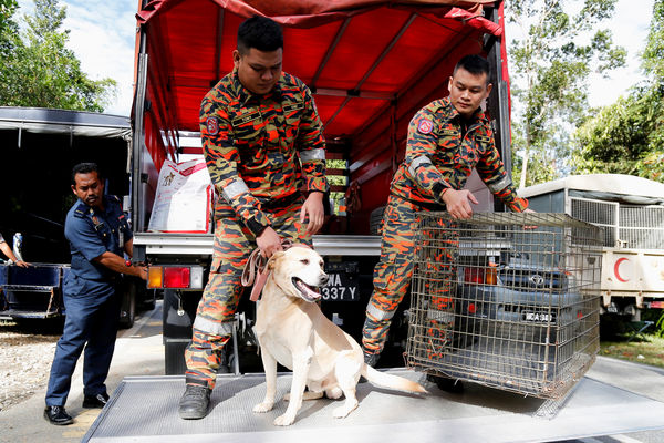 Rescue crews use a sniffer dog to aid in search for victims of landslide in Batang Kali, Selangor state, Malaysia December 16, 2022. REUTERS/Lai Seng Sin