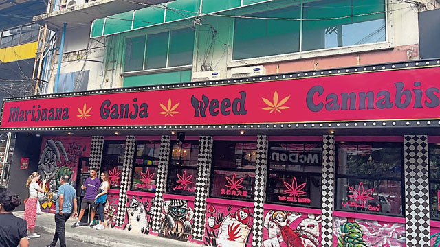 大规模的大麻产品店：新经济农作物市场，竞争激烈。