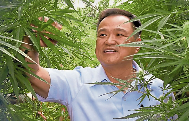 公共卫生部长兼副总理阿努廷：大麻合法化的推手。