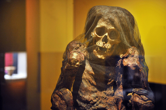 An Inca mummy is displayed as part of the exhibition "The Incas' Gold" at la Pinacotheque de Paris, on September 10, 2010. In the animist Inca panthéon, gold was used in a wide range of objects, all of them present in the exhibition from 10 September 2010 to 06 February 2011 : crowns, diadems, earrings, nose ornament, pins, ritual cups, pectoral ornament, necklaces, figurines. AFP PHOTO BERTRAND LANGLOIS