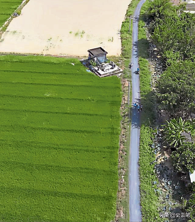 住在墓地是因为要守着这片田地。