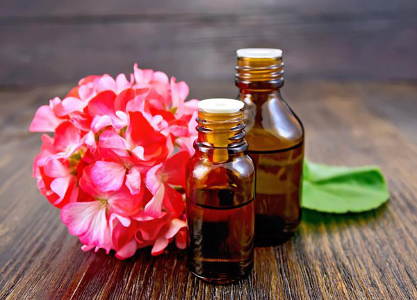 Two bottle of oil with green leaf and flower of pink geranium on a wooden boards background