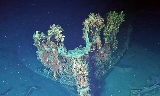 据信是“圣荷西号大帆船”的残骸。