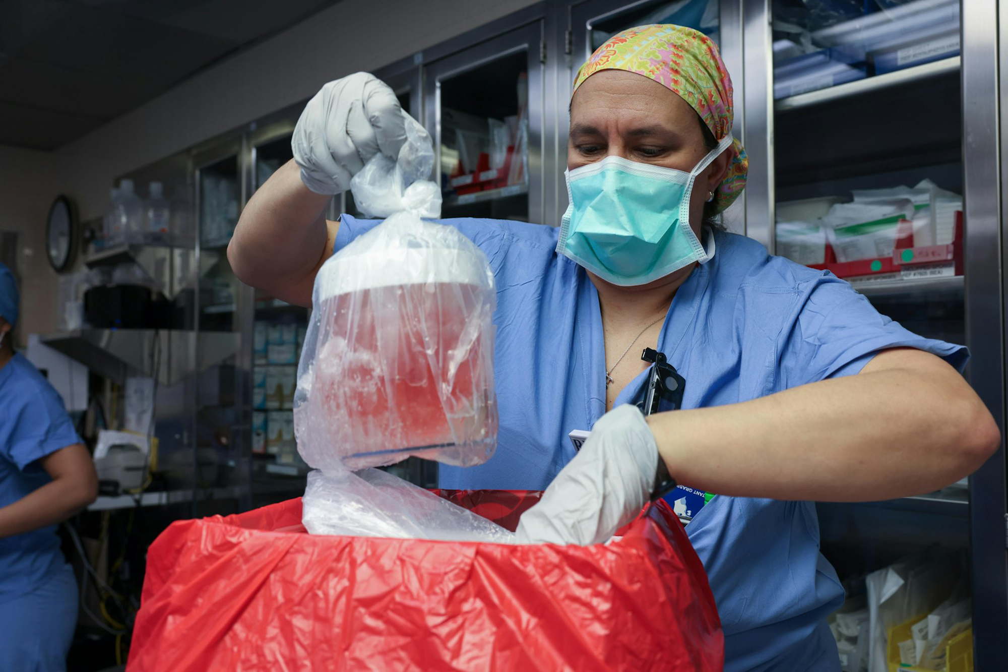 医生团队准备将一个基因经改造的猪肾移植到一名男肾病患者体内。